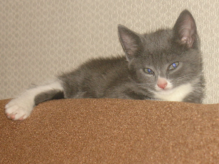 DSC09108.JPG
