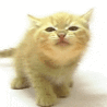 34153_prev_98.gif