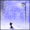 206.gif