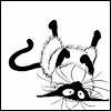 229.gif