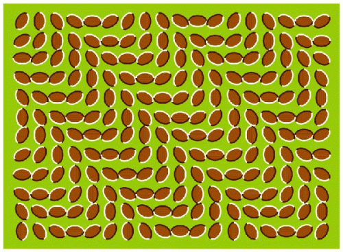 _illusions_009.gif