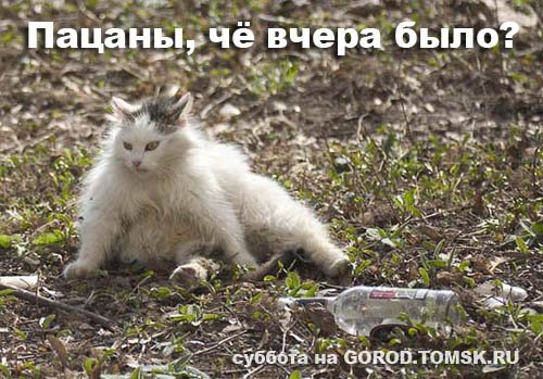 1174816886_funpix93_131.jpg