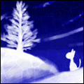 3_1260.gif