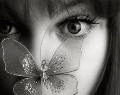 12_10288.gif