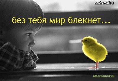 1196869229_1.jpg