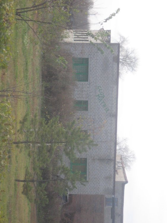 IMG_2982.JPG