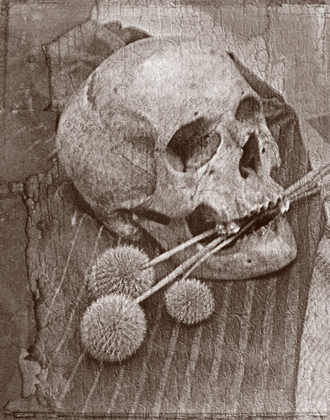 19618262.jpg