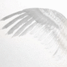 6843.gif