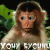 avatar_0867_mnis.ru.gif