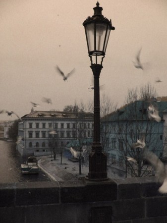 1197540116_033b.jpg