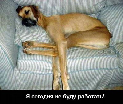1198561329_last_monday_12.jpg