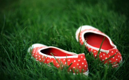 wallpapersmaniannmru_vol100094.jpg