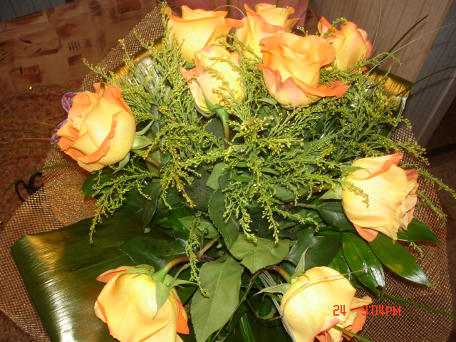 DSC01442.JPG