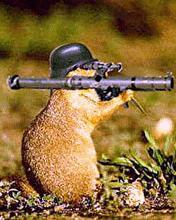 FUNY_022.gif