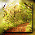 72fd8ea5f88e588610e60d5d8533a802.gif
