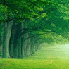 093196a015e31969dcaffebcd4616d8d.gif