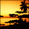 41e3ececa6d5eaf2b56c3126b9b509a5.gif