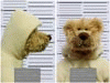 8fb33e166e0be1138e05e0c6f908fb37.gif