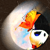 претти.gif