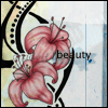 24169114.gif