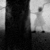 52f5dccd4ab4.gif