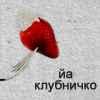27633237.png