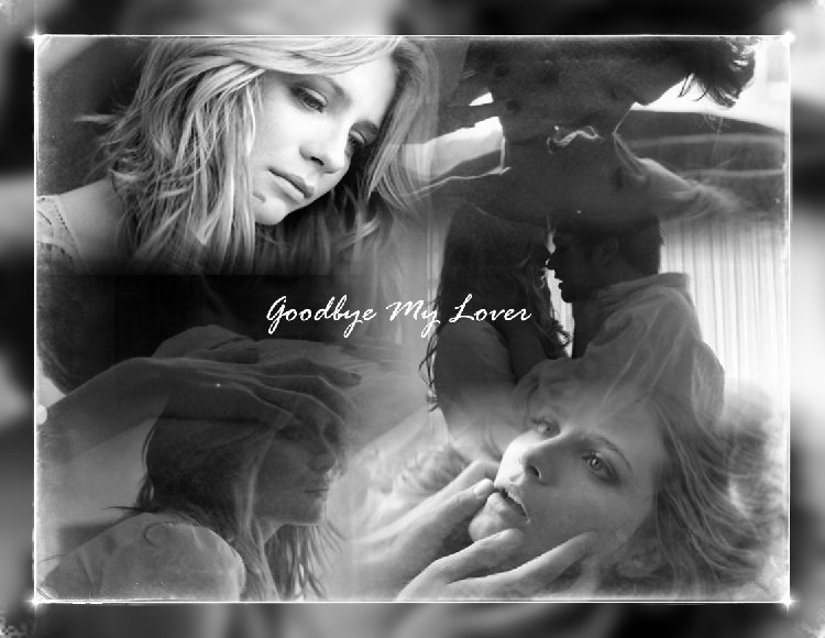 Goodbye My Lover.jpg