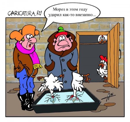 заморозки.jpg