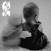 w_526.gif