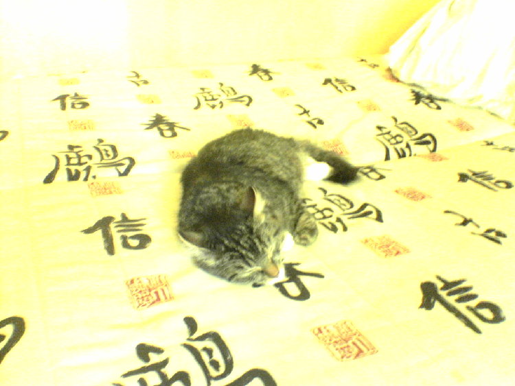 DSC00152.jpg