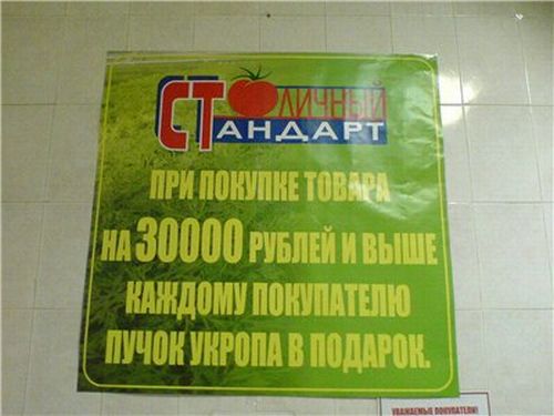 marazm_29.jpg