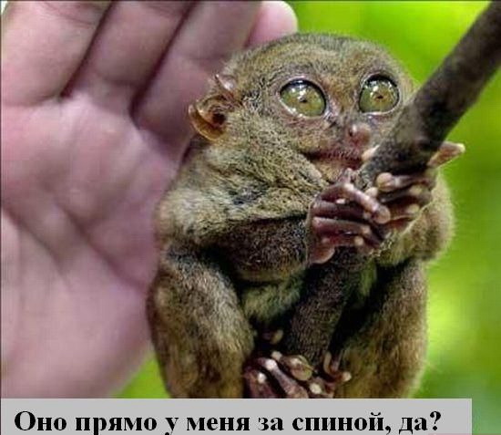 120091818422891.jpg