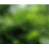 119364154463938.gif