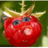 119948007393015.gif