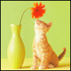 1201161439_341.gif