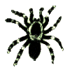 1200226167_22.gif