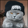 1200226167_66.gif