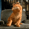 1201161439_321.gif