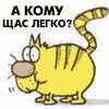 1201161439_114.gif