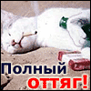 1201161439_151.gif
