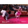 116473653192614.gif