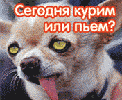 kyrim ili p'èm.gif