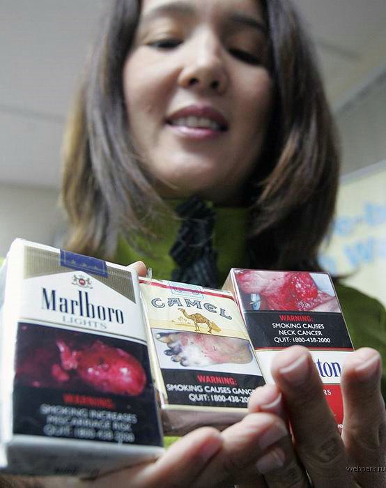 1194930505_stop_smoke_2.jpg