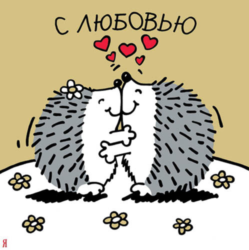 75.jpg