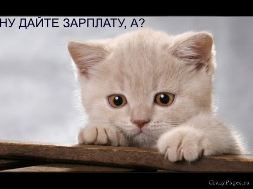 1176271741_11.jpg