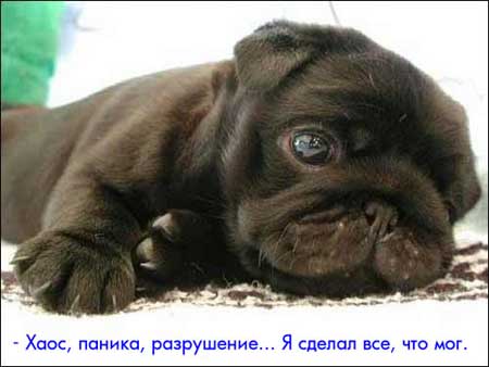user-1294-1139913157.jpg