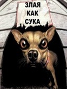 suka.jpg