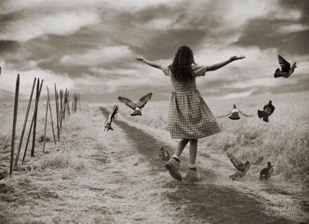 1181223423_1181071501_littlegirlplayingwithpigeonsinfield.jpg