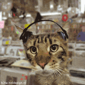 otdam_webstuff1154029461_i_7519_full.gif