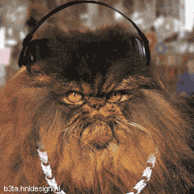 1161267763_catfun4.gif